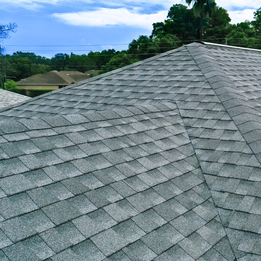 shingle roof closeup